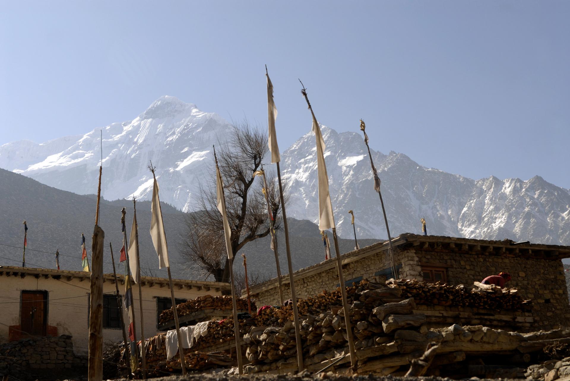 Le Nilgiri 7061 (mètres) depuis le Mustang
